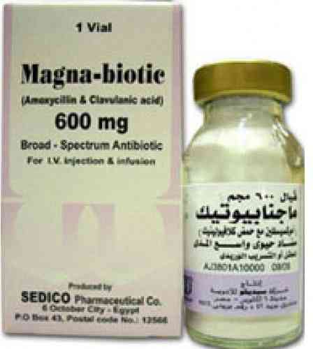 Magnabiotic 600mg vial