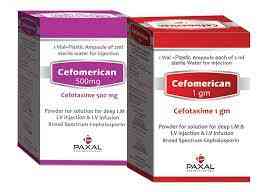 Cefomerican 1 gm vial