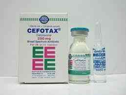 Cefotax (up pharma) 250 mg vial