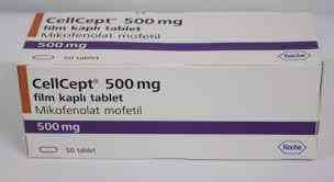 سيلسيبت 500 مجم 100 كبسولة