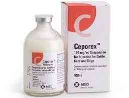 كيبوركس 500 مجم فيال