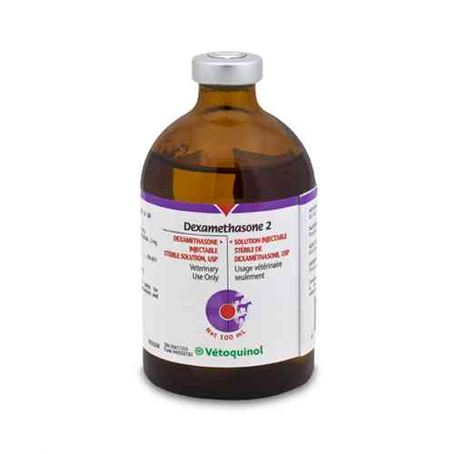Dexamethasone 0.1mg/ml syp. 100 ml