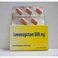 Levomagictam 500 mg 5 f.c.tab.