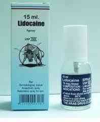 ليدوكايين 10٪ سبراي 55 جم